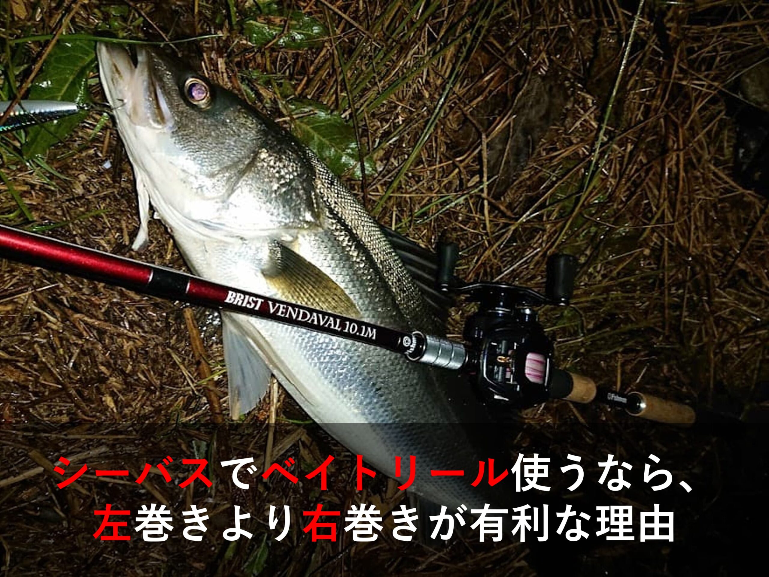 シーバスでベイトリール使うなら 左巻きより右巻きが有利な理由 ベイトリール大百科 Bait Reel Com