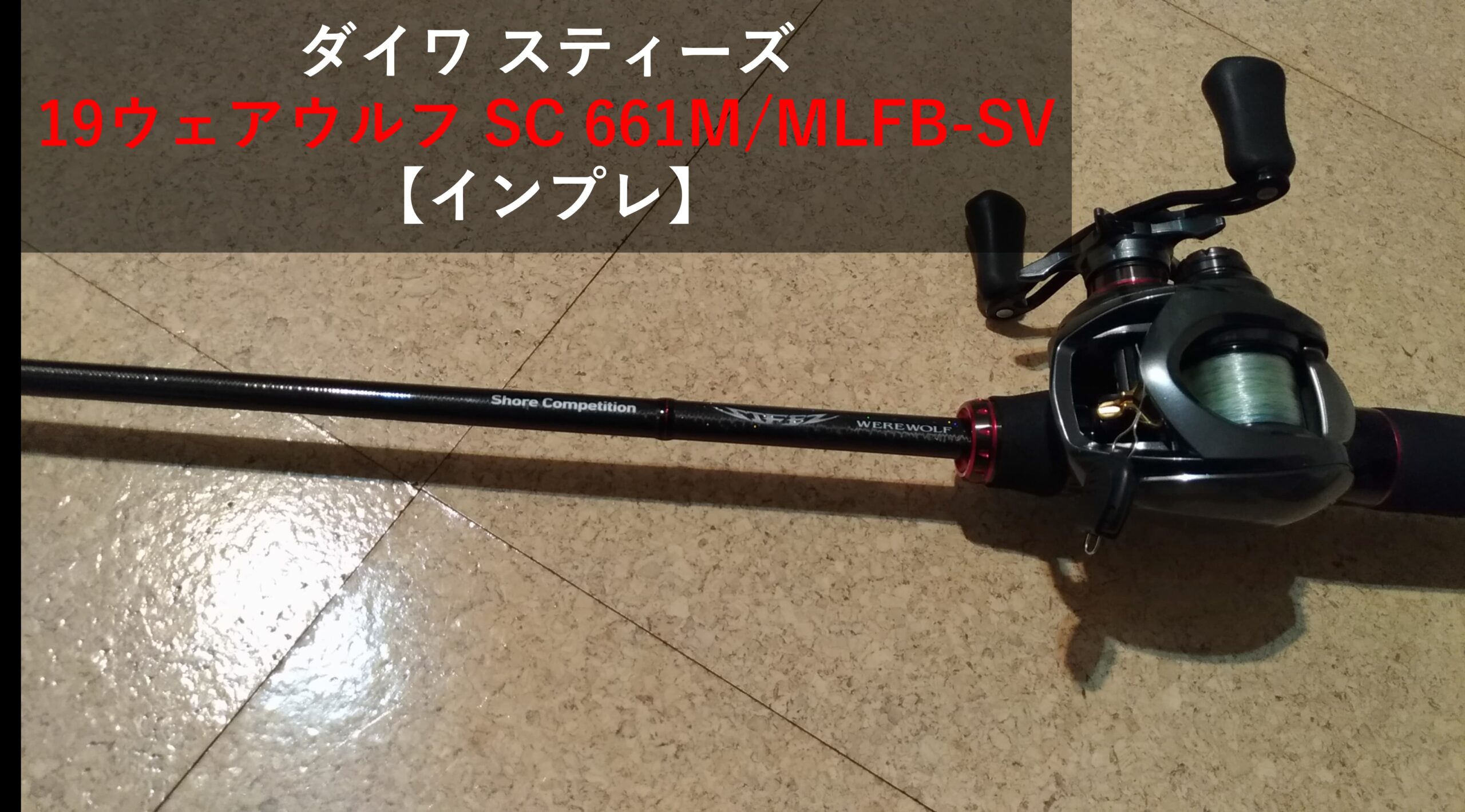 【ダイワ】 24スティーズ SC C66M/ML-SV・ST ウェアウルフ ショア  